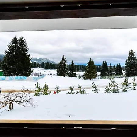 Grand With Free Access To Alpin Poiana Brasov
