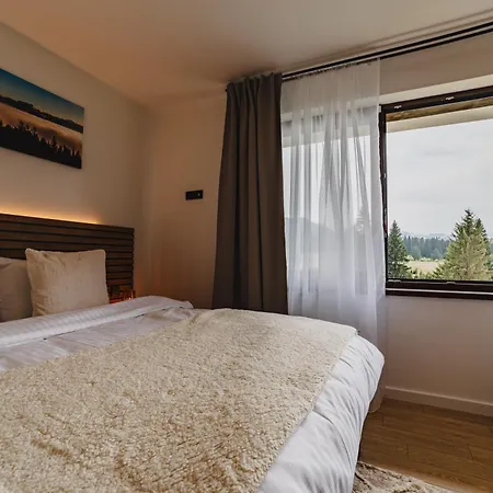 Grand With Free Access To Alpin Apartment Poiana Brasov