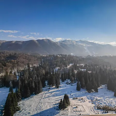 Grand With Special Rate To Alpin *